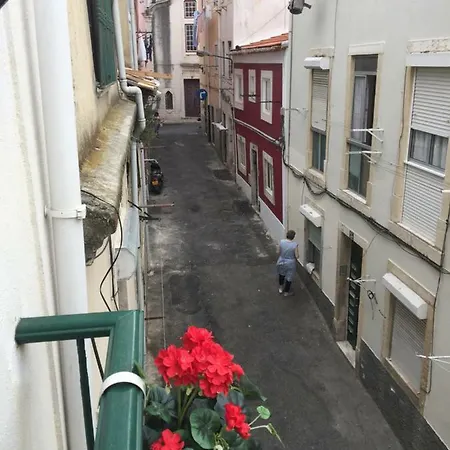 Apartment Mural House *