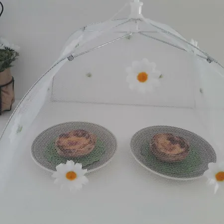 Apartment Mural House